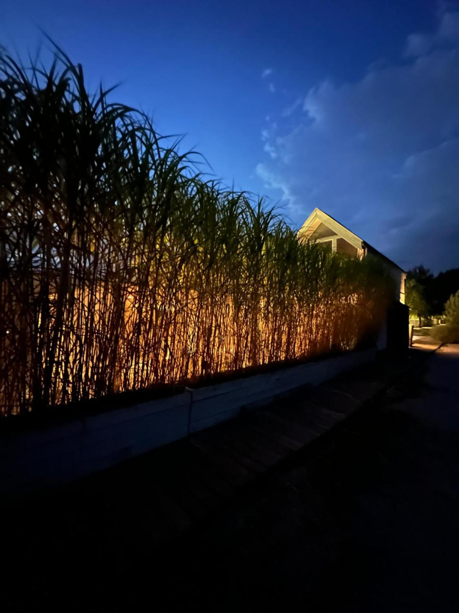 Haus Am See Neusiedl am See Exterior foto