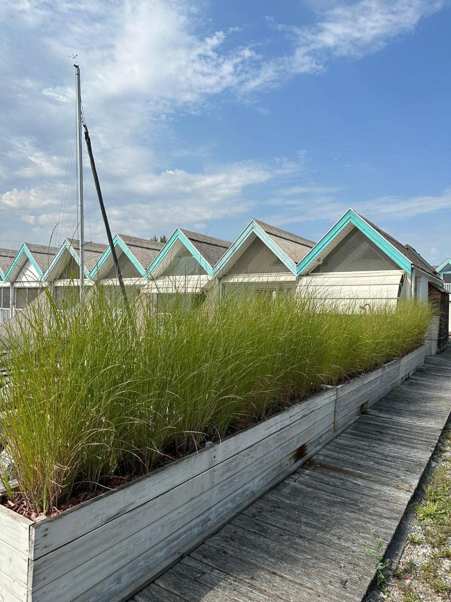 Haus Am See Neusiedl am See Exterior foto